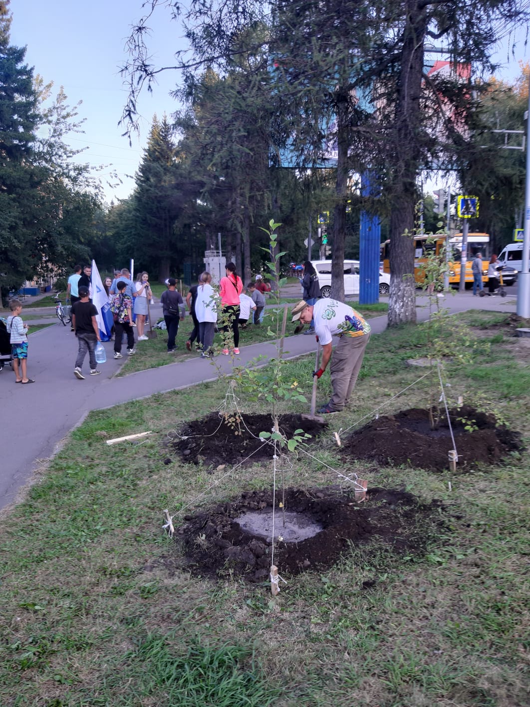посадка деревьев к юбилею Академгородка